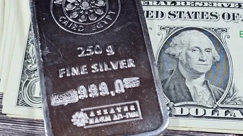 Investor Cerna Data AS, Perak Tetap Perkasa